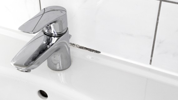 Mould in bathroom grout lines Mould in bathroom grout lines