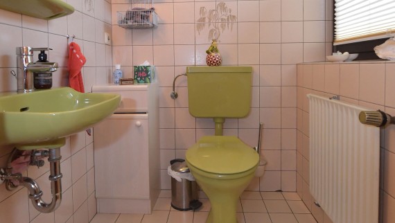 The green guest bathroom from the 80s before renovation The green guest bathroom from the 80s before renovation