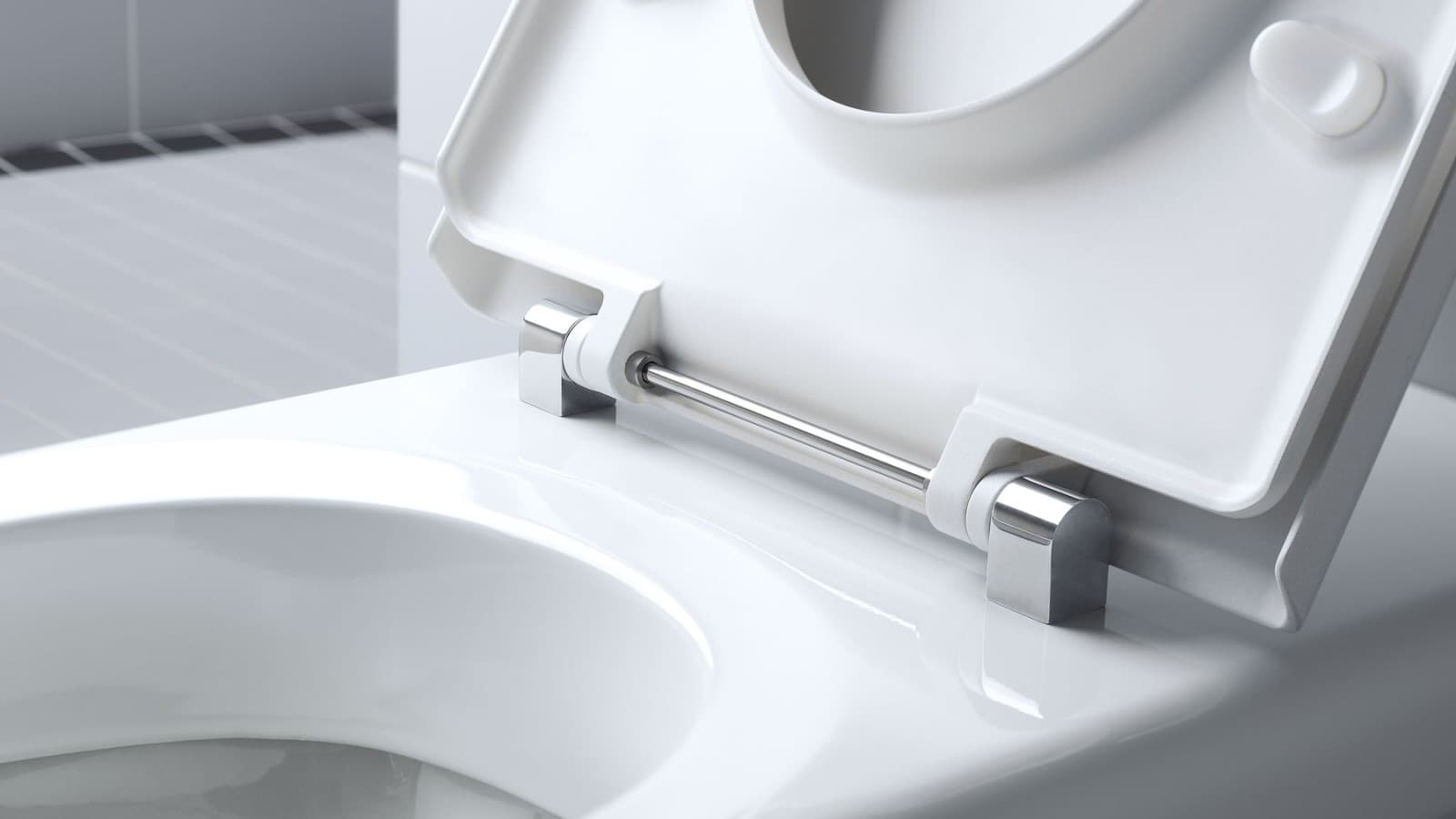 Geberit Selnova Comfort WC with stainless steel hinge bar Geberit Selnova Comfort WC with stainless steel hinge bar